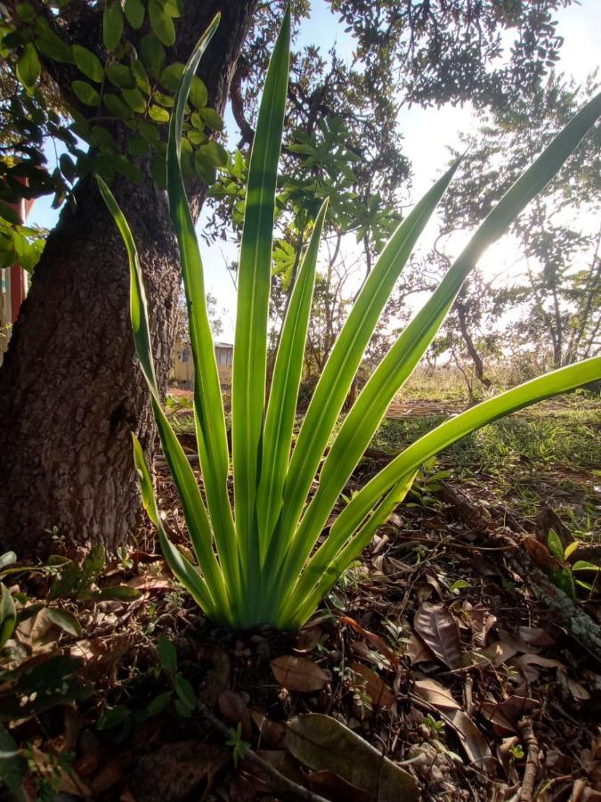 Chale Aconchegante, Pertinho Da Cidade E Conectada A Natureza Brasília Luaran gambar