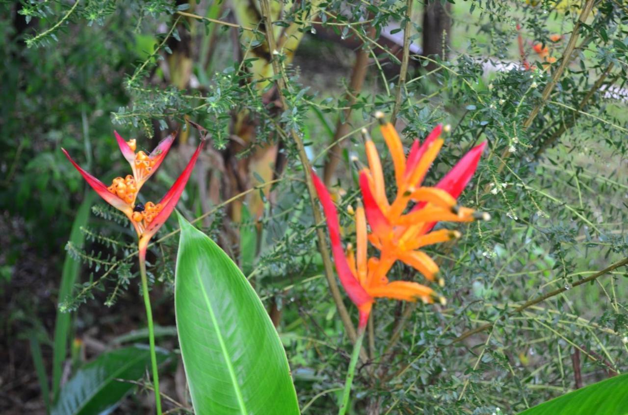 Chale Aconchegante, Pertinho Da Cidade E Conectada A Natureza Brasília Luaran gambar