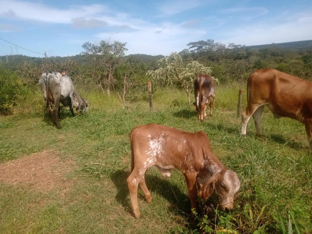 Chale Aconchegante, Pertinho Da Cidade E Conectada A Natureza Brasília Luaran gambar